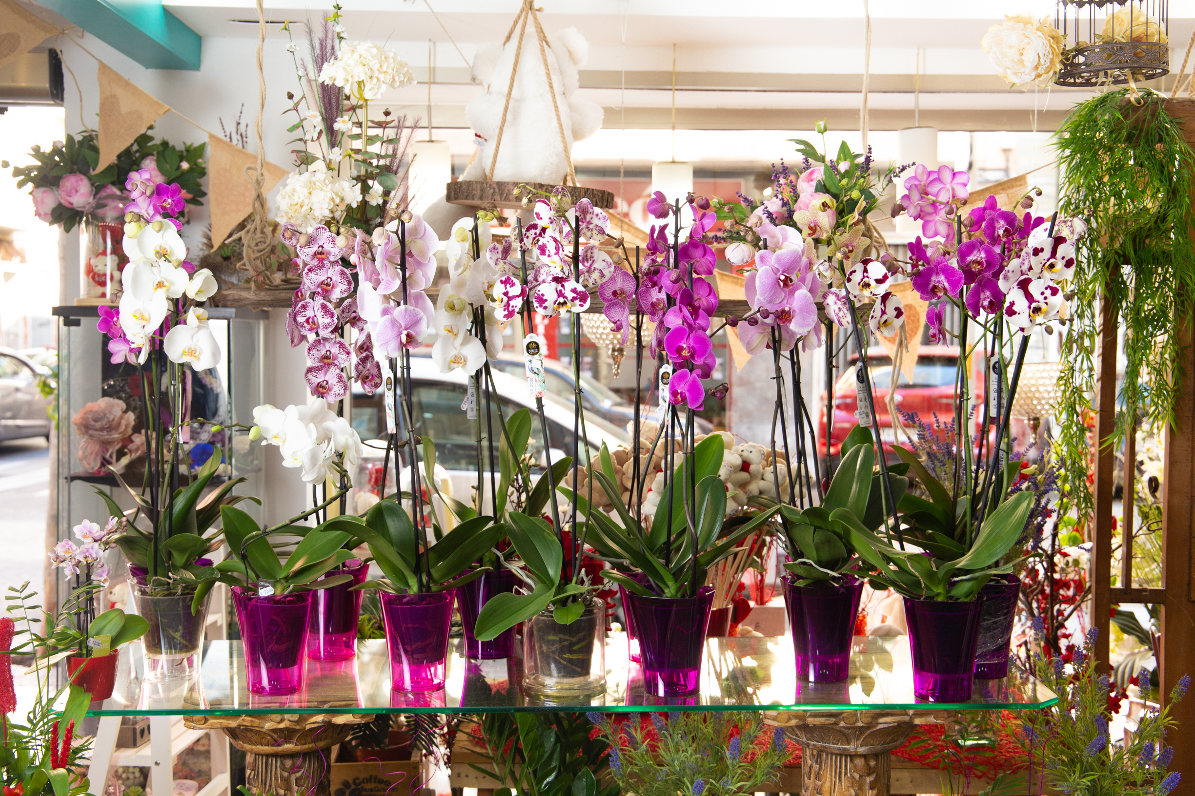 Floristeria Margarita 2 - Elche Alicante